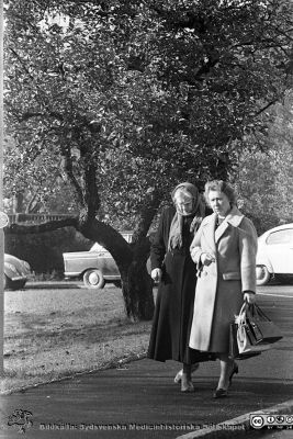 Lasarettet i Lund. Två promenerande kvinnor
Lasarettsfotograferna. Lund. Pärm "Div. tagningar, 1960 och t.v.". Lasarettets exteriörer, 1961. Foto kanske vid dåvarande kvinnoklinken, vars söderfasad anas i bakgrunden. Troligen en höstbild. Från negativ.
Nyckelord: Lasarett;Lund;Universitet;Universitetssjukhus;USiL;Höst;Kvinnoklinik