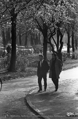 Lasarettet i Lund 1961
Lasarettsfotograferna. Lund. Pärm "Div. tagningar, 1960 och t.v.". Lasarettets exteriörer, 1960-talet. Höstlig bild mot söder med fotgängare i allén förbi Universitetsbiblioteket. Foto 1961. Från negativ
Nyckelord: Lasarett;Lund;Universitet;Universitetssjukhus;USiL;Universitetsbiblioteket;Fotgängare;All