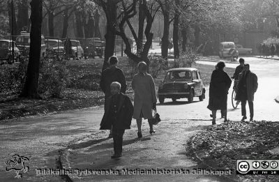 Lasaettet i Lund, 1961
Lasarettsfotograferna. Lund. Pärm "Div. tagningar, 1960 och t.v."	Lasarettets exteriörer. Foto 1961. Höstlig vy söderut på Lasarettsgatan vid Universitetsbiblioteket. Från negativ. 
Nyckelord: Lasarett;Lund;Universitet;Universitetssjukhus;USiL;Universitetsbibliotek;Höst;Fotgängare
