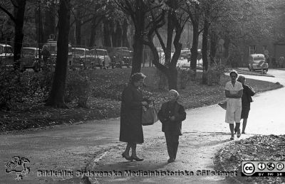 Lasaettet i Lund, 1961
Lasarettsfotograferna. Lund. Pärm "Div. tagningar, 1960 och t.v."	Lasarettets exteriörer. Foto 1961. Höstlig vy söderut på Lasarettsgatan vid Universitetsbiblioteket. Från negativ. 
Nyckelord: Lasarett;Lund;Universitet;Universitetssjukhus;USiL;Universitetsbibliotek;Höst;Fotgängare