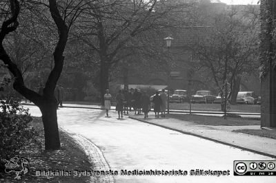 Lasaettet i Lund, 1961
Lasarettsfotograferna. Lund. Pärm "Div. tagningar, 1960 och t.v.". Lasarettets exteriörer. Foto 1961. Höstlig vy söderut på Lasarettsgatan vid Universitetsbiblioteket. Från negativ. 
Nyckelord: Lasarett;Lund;Universitet;Universitetssjukhus;USiL;Universitetsbibliotek;Höst;Fotgängare