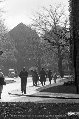 Lasaettet i Lund, 1961
Lasarettet i Lund. Lasarettsfotograferna. Lund. Pärm "Div. tagningar, 1960 och t.v.". Lasarettets exteriörer. Lasarettsgatan söderut, nära universitetsbiblioteket. Foto 1961. Från negativ
Nyckelord: Lasarett;Lund;Universitetssjukhus;Universitet;Gata;Väg;Fotgängare;Höst