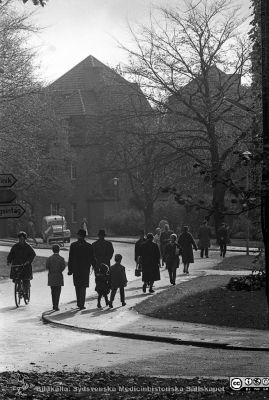 Lasarettet i Lund 1961
Lasarettet i Lund. Lasarettsfotograferna. Lund. Pärm "Div. tagningar, 1960 och t.v.". Lasarettets exteriörer. Lasarettsgatan söderut, när universitetsbiblioteket. Foto i början på 1960-talet. Från negativ
Nyckelord: Lund;Lasarett;Universitet;Universitetssjukhus;USiL;Gata;Väg;Cyklist;Fotgängare;Höst
