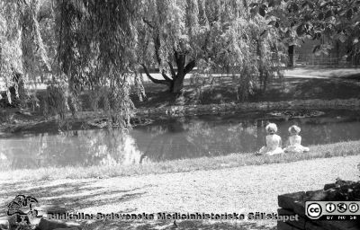 Parken öster om reumatologiska kliniken med ankdammen 1960
Lasarettsfotograferna. Lund. Pärm "Div. tagningar, 1960 och t.v.". Reumatens badbassäng är ännu inte byggd. 16. Från negativ.
Nyckelord: Lasarett;Lund;Universitetssjukhus;USiL;Park;Ankdamm;Reumatologisk;Klinik