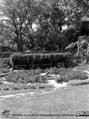 Parken mellan förlossningsavdelningen och dåvarande medicinkliniken 1960
Lasarettsfotograferna. Lund. Pärm "Div. tagningar, 1960 och t.v.". 16. Trädgården 1960 strax norr om förlossningsavdelningen med Allhelgonakyrkan i bakgrunen. En liten statyett i dammen.  Från negativ.
Nyckelord: Lasarett;Lunga;Universitetssjukhus;USiL;Park;Damm;Staty