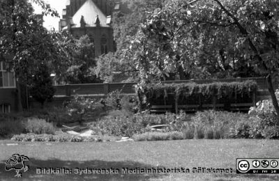Parken mellan förlossningsavdelningen och dåvarande medicinkliniken 1960
Lasarettsfotograferna. Lund. Pärm "Div. tagningar, 1960 och t.v.". 16. Trädgården 1960 strax norr om förlossningsavdelningen med Allhelgonakyrkan i bakgrunen. En liten statyett i dammen.  Från negativ.
Nyckelord: Lasarett;Lunga;Universitetssjukhus;USiL;Medicin;Klinik;Allhelgonakyrkan;Staty;Damm;Park;Trädgård