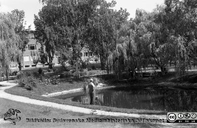 Parken öster om reumatologiska kliniken med ankdammen 1960
Lasarettsfotograferna. Lund. Pärm "Div. tagningar, 1960 och t.v.". Reumatens badbassäng är ännu inte byggd. Ögonklinikens sydfasad skymtar mellan träden. 16. Från negativ.
Nyckelord: Lasarett;Lund;Universitetssjukhus;USiL;Park;Ankdamm;Reumatologisk;Klinik;Ögon