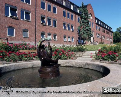 Lasarettet i Lund på 1970-talet. Parken med statyett vid dåvarande medicinska kliniken, senare hudhuset
Sjukhusfotograferna i Lund. Diabilder, UNS, 1970-talet. 26256. Fönstren, som ursprunglingen varit spröjsade, har fått hela glasytor. Efter protester från estetiker har de senare fått spröjsaer i ursprunglig stil igen. Från positiv.
Nyckelord: Lasarett;Lund;Universitet;Univeristetssjukhus;USiL;Medicin;Klinik;Hud;Dermatologi