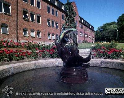 Lunds lasarett på 1970-talet. Statyetten vid dåvarande medicinska kliniken, senare hudhuset
Sjukhusfotograferna i Lund. Diabilder, UNS, 1970-talet. 26256. Fönstren, som ursprunglingen varit spröjsade, har fått hela glasytor. Efter protester från estetiker har de senare fått spröjsaer i ursprunglig stil igen. Från positiv.
Nyckelord: Lasarett;Lund;Universitet;Univeristetssjukhus;USiL;Medicin;Klinik;Hud;Dermatologi