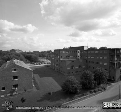 Vy mot sydost från någon av de översta våningarna på dåvarande barnkliniken, 1958
Pärm Lasarettsfoto, interiörer och exteriörer m.m. 1958 - 1960. Till vänster tandkliniken, i mitten radiologiska kliniken. På horisonten psykiatriska kliniken. Foto i september 1958. Från negativ.
Nyckelord: Lasarettet;Lund;Universitet;Universitetssjukhus;USiL;Barn;Pediadtrisk;Klinik;Radiologisk;Tandpoliklinik