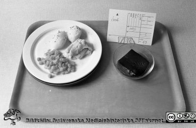 Patientmat på bricka
Sjukhusfotograferna i Lund. Pärm Negativ, Dia, 1987.	13-1987. Transportlocket har tagits av från tallriken för att ges till patienten. Från negativ.
Nyckelord: Lasarettet;Lund;Universitetssjukhus;USiL;Kök;Matbricka;Servering