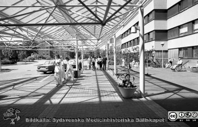 Väderskyddet vid entrén till centralblocket, Lasarettet i Lund
Sjukhusfotograferna i Lund. Pärm Sv/v neg. 1989. 29. Från negativ.
Nyckelord: Lasarettet;Lund;Universitetssjukhus;USiL;Centralblocket;Entr