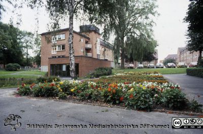 Parken öster om reumatologiska kliniken, troligen på 1980-talet
Pärm Lasarettsfotograferna, gamla färgbilder 1. 91. 24x30. Den tråkiga transformatorstationen vid klinikens entré har ännu inte byggts. Foto troligen på 1980-talet. Från positiv
Nyckelord: Lasarettet;Lund;Universitetssjukhus;USiL;Reumatologisk;Klinik;Park