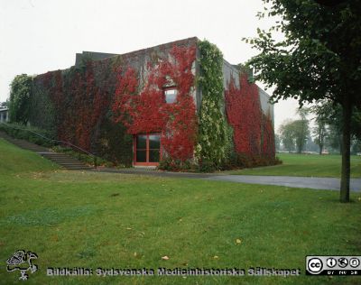 Landstingets stora sessionssal 
Pärm Lasarettsfotograferna, gamla färgbilder 1. 110. Landstingets stora sessionssal på Baravägen i Lund, i höstskrud. Foto troligast på 1980-talet. Från positiv
Nyckelord: Lasarettet;Lund;Landsting;Sessionssal;Malmöhus;Län;MLL