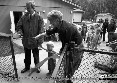 Benny Jönsson vid invigningen av barndaghemmet "Röda stugan
Pärm Lasarettsfotograferna i Lund, negativ, 1991. 22. 91-05-23. Benny Jönsson inviger barndaghemmet "Röda stugan" (som fått en ljusare färg) på dess nya plats strax öster om Ögonkliniken B. Från negativ. 
Nyckelord: Lasarettet;Lund;Universitetssjukhuset;USiL;Barn;Daghem