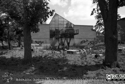Nya strålbehandlingsavdelningen vid onkologiska kliniken 93-06-07
Lasarettsfotograferna i Lund, pärm Negativ, 1993-2. Foto från väster. Från negativ.
Nyckelord: Lasarettet;Lund;Universitetssjukhuset;USiL;Strålbehandling;Onkologisk;Radiologisk;Klinik;Röntgen;Rtg