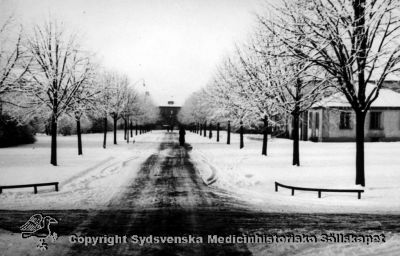 Centrala vägen i Vipeholmskomplexet i vinterskrud, kanske på 1940-talet
Vipeholm exteriört, från öster, i vinterskrud. Administrationsbyggnaden i centrum, i bakgrunden. Rimligen i mitten av 1900-talet. Amatörfoto Omonterat
Nyckelord: Foto;Vipeholm;Vinterskrud;Vinter;Exteriört;Kapsel 15;Omonterat