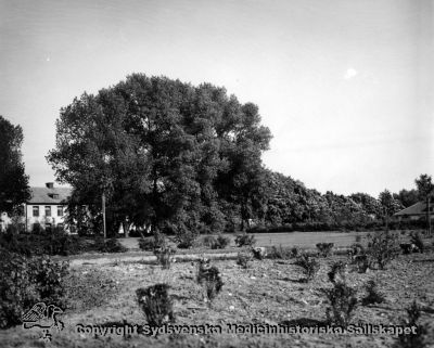 Vipeholms sjukhus från nordväst.
Vipeholm exteriört, foto från nordväst. Motorvägen tycks ännu inte vara byggd, dvs bilden är från före mitten av 1950-talet. Foto Omonterat
Nyckelord: Vipeholm;Exteriört;Foto;Omonterat;Kapsel 15;Motorväg