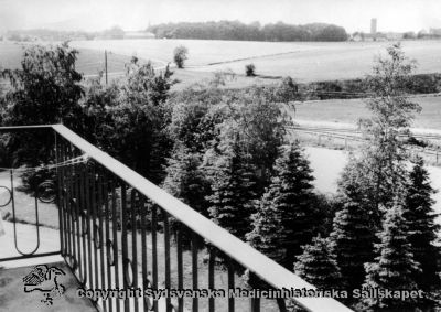 Utsikt mot nordväst, mot Lund
Vipeholm exteriört. Utsikt mot nordväst mot Lund och Hardebergaspårets växel för stickspåret in på sjukhusområdet. Foto på 1900-talets tredje kvartal. Omonterat
Nyckelord: Vipeholm;Hardebergaspåret;Växel;Stickspår;Kapsel 15;Foto;Omonterat