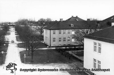 Vipeholms sjukhus. Mittgången genom området, med två manliga paviljonger.
Vipeholm exteriört. Paviljonger. Alléträdens storlek talar för att bilden är tagen under 1900-talets tredje fjärdedel. Trafikskyltens placering visar att högertrafik är införd, dvs bilden är tagen efter 3/9 1967. Foto, omonterat.
Nyckelord: Vipeholm;Kapsel 15;Exteriört;Foto;Omonterat;Paviljong