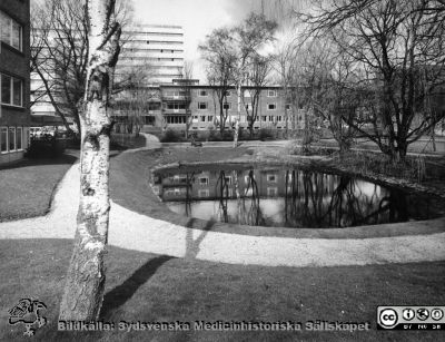 Parken vid ögonkliniken 1967 eller 1968
Ur pärm med bilder tänkta för A. Flaum "Lasarettet i Lund" (1968). Dammen strax öster om reumatologiska kliniken. Dess behandlingsbassäng är ännu inte byggd. Ögonkliniken sydfasad i bakgrunden, och det alldeles nya centralblocket bakom den. Foto 1967 eller 1968.
Nyckelord: Lasarettet;Lund;Universitetssjukhuset;USiL;Ögonklinik;Oftalmologisk;Reumatologisk;Centralblocket