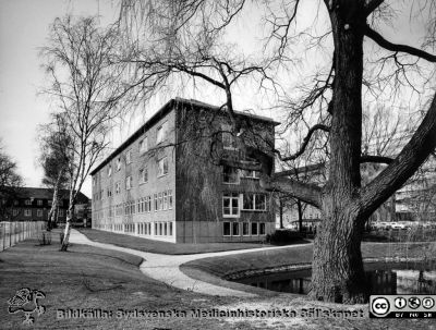 Reumatologiska kliniken i slutet på 1960-talet
Ur pärm med bilder tänkta för A. Flaum "Lasarettet i Lund" (1968). Reumatologiska klinikens fasader mot söder och öster på tillbyggnaden klar 1957. Det alldeles nybyggda centralblocket skymtar till höger. Foto 1967 eller 1968.
Nyckelord: Lund;Lasarettet;Universitetssjukhuset;USiL;Reumatologisk;Kvinnoklinik;Centralblocket