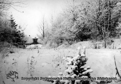 Vipeholms sjukhus. Adminstrationsbyggnaden en snöig dag
Vipeholm exteriört. Administrationen sedd från väster över den stensatta promenadgången, troligast. Vinterbild. Foto under 1900-talets andra halva. Omonterat
Nyckelord: Vipeholm;Exteriört;Vinterbild;Administrationsbyggnaden;Exteriört;Vinter;Kapsel 16