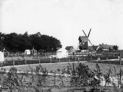 Vipemöllans kvarn, nu på Kulturens Östarp
Vipeholm, Vipemöllan. Foto: Fick 1924. Kv. Gleerup 2.
- Möllan flyttades på 1920-talet från Vipeholmsområdet i Lund till Kulturens Östarp.
Nyckelord: Kapsel 14;Vipeholm;Mölla;Kvarn;Kulturen;starp;Fick;1924