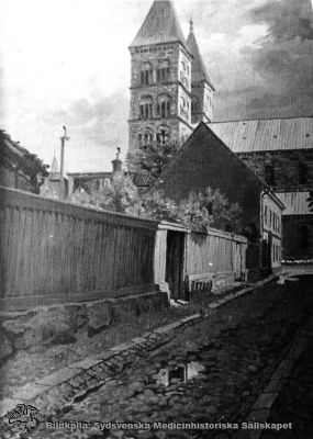 Domkyrkan i Lund från söder i slutet på 1800-talet. 
Reproduktion med okänd proveniens
Nyckelord: Kapsel 01;Regionarkivet;Lund;Domkyrka;Kungsgatan