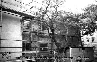 Gamla kirurgiska klinikens annex renoveras (4), rimligen på 1980-talet
Nr 4 i en serie bilder tagna runt fasaden vid dess renovering, i motsols ordning runt huset och rimligen på 1970-talet. Fotograf okänd.
Nyckelord: Kapsel 01;Regionarkivet;Lund;Lasarettet;Universitetssjukhuset;Söder;Kirurgiska;Kliniken;Gamla;Annex;Renovering;1970-talet