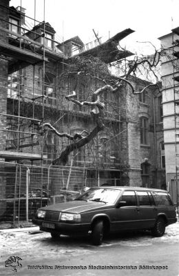 Gamla kirurgiska klinikens annex renoveras (9), rimligen på 1980-talet
Lasarettet i Lund, södra området. Kirurgens annex, med operationsavdelning. Nr 9  i en serie bilder tagna runt fasaden vid dess renovering, i motsols ordning runt huset och rimligen på 1970-talet.
Nyckelord: Kapsel 01;Regionarkivet;Lund;Lasarettet;Universitetssjukhuset;Söder;Kirurgiska;Kliniken;Gamla;Annex;Renovering;1970-talet