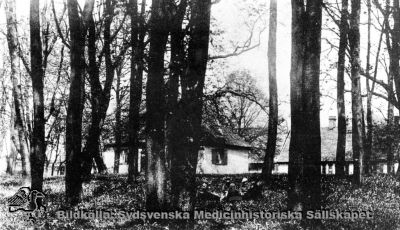 Helgonabacken i Lund
Reproduktion av vykort med påskriften "Helgonabacken i Lund. Lina Jonn, Fotograf, Lund". Foto troligast något av åren närmast sekelskiftet 1900. Reprofotografi monterat på tjock papp. 
Nyckelord: Kapsel 03;Regionarkivet;Lund;Helgonabacken;