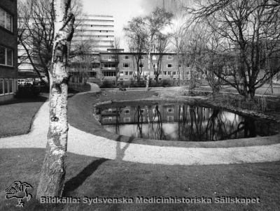 Ögonkliniken i Lund, söderfasaden
Omärkt bild. Originalfoto. Monterat. Centralblocket (färdigt 1968) i bakgrunden. Foto tidigast 1968, möjligen också på tidigt 1970-tal. Översta balkongen på ögonkliniken blev inbyggd före1975 för att hysa en utvidgad operationsavdelningen, men är på bilden fortfarande inte inbyggd. Reumatiska kliniken till vänster i bild; har ännu inte fått sin simbassäng.
Nyckelord: Kapsel 18;Lund;Norra;Område;Fasad