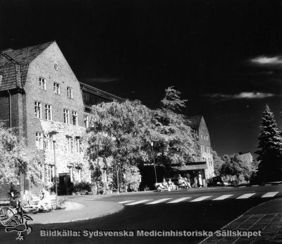 Ortopediska kliniken i Lund
Påskrift: "Ortopediska kliniken." Originalfoto, kanske 1960-talet? Zoofysiologiska institutionen, byggd före mitten på 1960-talet ses i bakgrunden. Monterat foto.
Nyckelord: Kapsel 18;Norra;Lasarettet;Lund