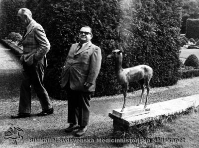 Rimligen utflykt med St Lars-patienter år 1973 till en allmän park med skulpturer
Påskrift: "5A 1973" Originalfoto Ej monterat. Rimligen utflykt 1973 till en skulpturpark.
Nyckelord: Kapsel 19;St Lars;Utflykt;Patienter