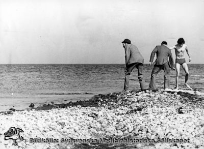 Utflykt till en badstrand med patienter från St Lars
Påskrift: "5A 1973 Resor". Originalfoto. Ej monterat
Nyckelord: Kapsel 19;St Lars;Personal;Patienter;Utflykt