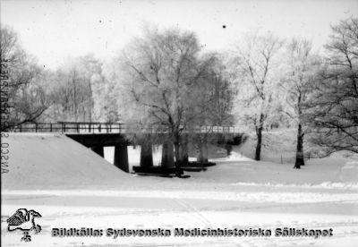 Vinterbild från St Lars-parken
Påskrift: "S:t Lars museum". Text i bilden: "ANSCO SUPERPAN PRESS". I övrigt omärkt originalfoto. Ej monterat. - ANSCO var ett tysk-amerikanst kamera- och filmföretag, verksamt under större delen av 1900-talet.
Nyckelord: Kapsel 19;St Lars;Lund;Museum;Exteriört