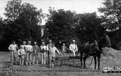 Höskörd på St Lars 1922
Kapsel 22	med bilder från St Lars i Lund. Påskrifter: "Tillhör S:t Lars sjukhusmuseum, Lund" och "Sysselsättning 1922, Hansson, på kuskbocken.  Höskörd 1920-tal. Originalfoto. Ej monterat.
Nyckelord: Kapsel 22;St Lars;Lund;Patienter;Personal;Skötare;Terapi;Sysselsättning;Jordbruk