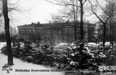 St Lars i Lund. Östra sjukhuset, kvinnliga avdelningar
Kapsel 22 med bilder från St Lars i Lund. Påskrift: "Hospitalet-östra sjukhuset, paviljong 1:sta Klass kvinns uppe, öppna avdelningen, nere." Originalfoto Alfr. Hagblom, Lund. Troligast senast på 1930-talet. Monterat
Nyckelord: Kapsel 22;St Lars;Lund;Exteriört