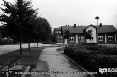 St Lars i Lund. Stallet
Kapsel 22 med bilder från St Lars i Lund. Påskrift: "Stallet". Originalfoto, maskinkopia i slutet på 1900-talet. Ej monterat
Nyckelord: Kapsel 22;St Lars;Lund;Exteriör;Park