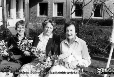 Förtjänstgåvor pensionärer, Orup-Eslöv-Hörby sjukvårdsdistrikt, 1982
Kapsel 23 med bilder från Orup-Eslövs-Hörby sjukvårdsdistrikt. Kuvert med påskrift "Förtjänstgåvor pensionärer. 1980. 1981 Utsikten. 1982 Hörby. 1983. 1984. 1985 Hörby. 1986 Förtjänstgåva. 1987 Hörby. 1988 Tåbelund. 1989 Långstorp". Påskrift på annan bild med samma motiv: "Margit Ivarsson. Hedvig Svensson. Maria Johansson. 1982". Originalfoto. Ej monterat.
Nyckelord: Kapsel 23;Orup-Hörby-Eslöv;Personal;Avtackning