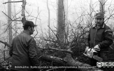 Beredskapsarbete 1983 på Orup
Kapsel 23. Beredskapsarbete 1983 Orup. Originalfoto. Monterat. I kuvert märkt "Förre maskinchefen Sten Andersson. Hela avd. 1986. Rolf Nilsson. Försörjningschef Kurt-L Färjh. Snickarna. Maskinpersonalen 1988. Trädgårdsmästarna. Beredskapsavdelningen i parken 1983 Orup. Parkvård AB 1994."
Nyckelord: Kapsel 23;Orup;Underhåll;Mark;Park;Service;1980-talet