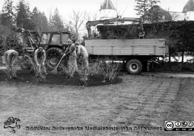 Beredskapsarbete 1983 på Orup
Kapsel 23. Beredskapsarbete 1983 Orup. Originalfoto. Monterat. I kuvert märkt "Förre maskinchefen Sten Andersson. Hela avd. 1986. Rolf Nilsson. Försörjningschef Kurt-L Färjh. Snickarna. Maskinpersonalen 1988. Trädgårdsmästarna. Beredskapsavdelningen i parken 1983 Orup. Parkvård AB 1994."
Nyckelord: Kapsel 23;Orup;Underhåll;Mark;Park;Service;1980-talet