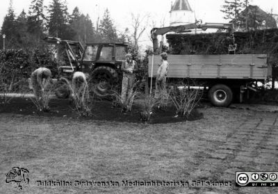 Beredskapsarbete 1983 på Orup
Kapsel 23. Beredskapsarbete 1983 Orup. Originalfoto. Monterat. I kuvert märkt "Förre maskinchefen Sten Andersson.  Hela avd. 1986. Rolf Nilsson. Försörjningschef Kurt-L Färjh. Snickarna. Maskinpersonalen 1988. Trädgårdsmästarna. Beredskapsavdelningen i parken 1983 Orup. Parkvård AB 1994."
Nyckelord: Kapsel 23;Orup;Underhåll;Mark;Park;Service