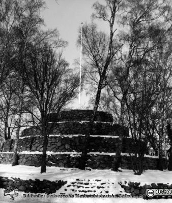 Trollhögen i Eslöv.
Kapsel 23.  I kapsel med bilder från Orup-Eslöv-Hörby sjukvårdsdistrikt.
Nyckelord: Kapsel 23;Eslöv