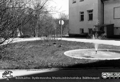 Park med fontän vid Orups sjukhus
Kapsel 23. Bild från Orup-Eslöv-Hörbys sjukvårdsdistrikt. Originalfoto. Rimligen från sista fjärdedelen av 1900-talet. Omonterat.
Nyckelord: Kapsel 23;Orup;Sjukhus;Exteriör;Park;Natur