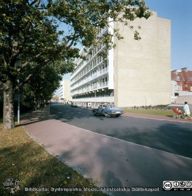 "Långa raden" på Malmö Allmänna Sjukhus
Album 1986 A i lasarettsfotograf Björn Henrikssons samling. MAS Malmö Allmänna Sjukhus. "Långa raden" 1986. Fysiologiska laboratoriet. Positiv filmbild.
Nyckelord: Album 1986A;MAS;Malmö_;Långa Raden