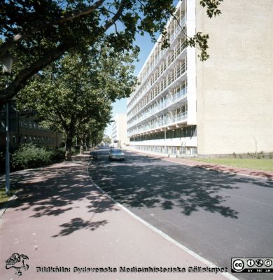 "Långa raden" på Malmö Allmänna Sjukhus
Album 1986 A i lasarettsfotograf Björn Henrikssons samling. MAS Malmö Allmänna Sjukhus. "Långa raden" 1986. Fysiologiska laboratoriet. Positiv filmbild.
Nyckelord: Album 1986A;MAS;Malmö_;Långa Raden