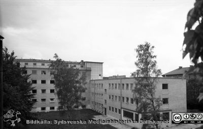 Malmö Allmänna Sjukhus. Nya medicinska klinien med apoteket, 1954
Pärm äldre neg. 1951-1958 MAS, från fotograf Björn Henrikssons samling. Från negativ
Nyckelord: MAS;Malmö;UMAS;Allmänna;Sjukhus;Medicin;Apotek