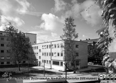 Malmö Allmänna Sjukhus. Nya medicin med apoteket, 1954. 
Pärm äldre neg. 1951-1958 MAS, från fotograf Björn Henrikssons samling. Malmö Sjukhem i bakgrunden. Ursprunglingen pensionssttyrelsens vårdpaviljong, sedanreumatikerklinik. Foto från kirurgiska klinikens andra våning, kanske privatavdelningen. Från negativ.
Nyckelord: Malmö;MAS;UMAS;Allmänna;Sjukhus;Medicin;Apotek;Sjukhem;Reumatiker;Reumatism